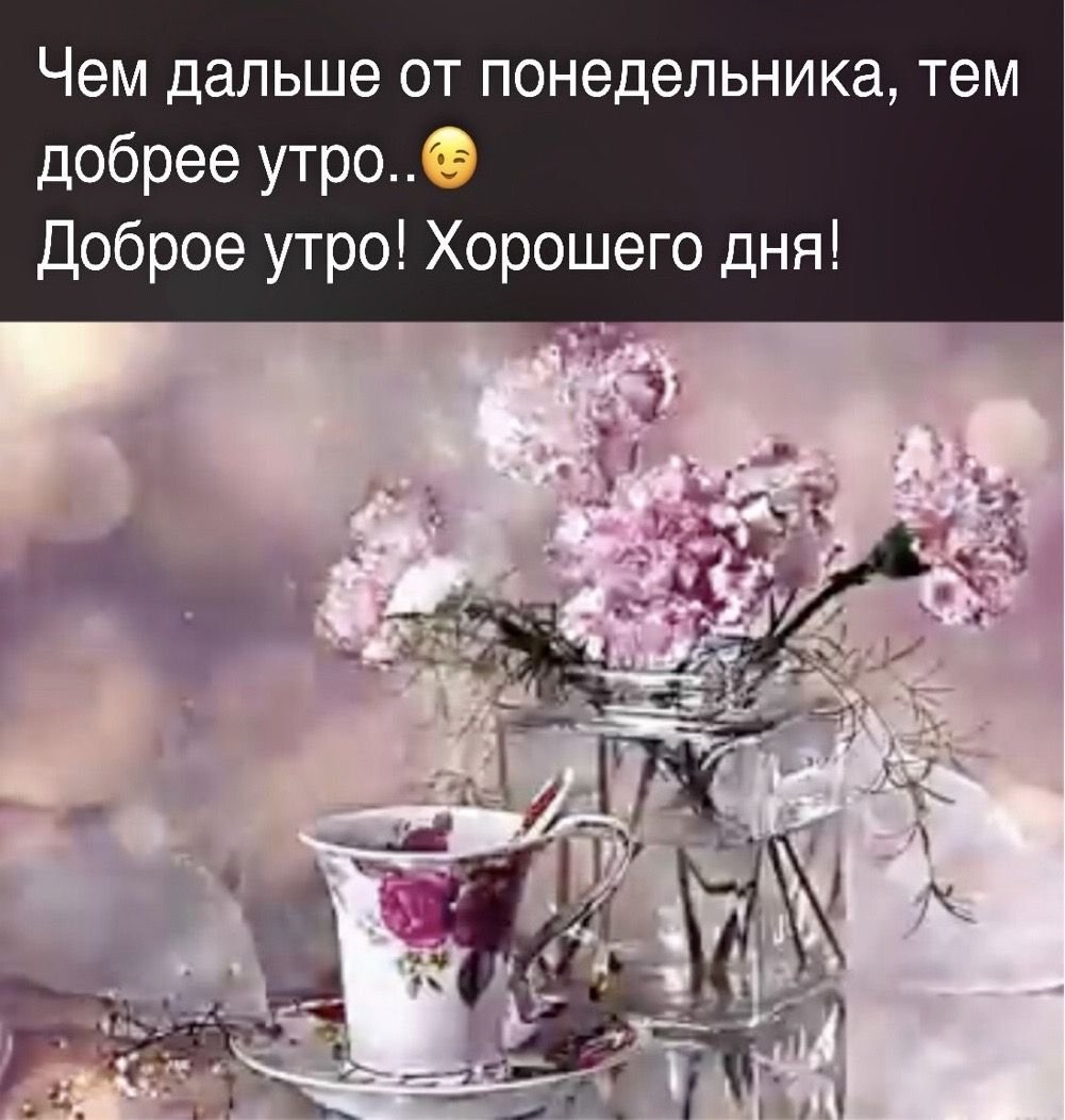 Волшебного утра и хорошего дня