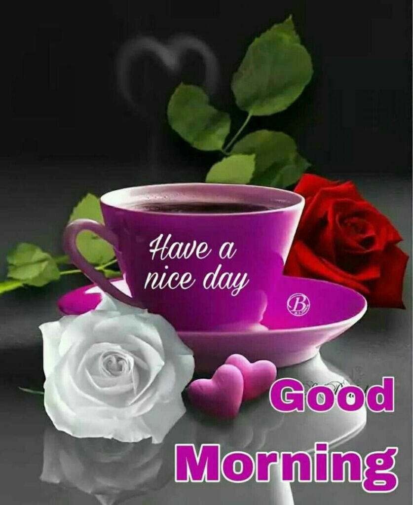 Добрый вечер с цветами и кофе