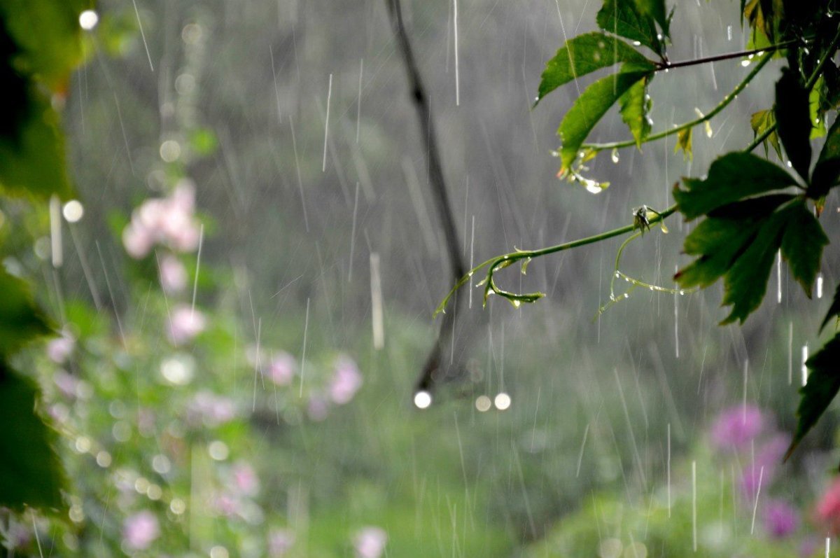 Легкий дождь