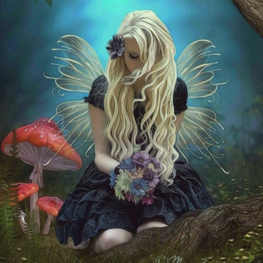 Художник-иллюстратор Lynne Bellchamber