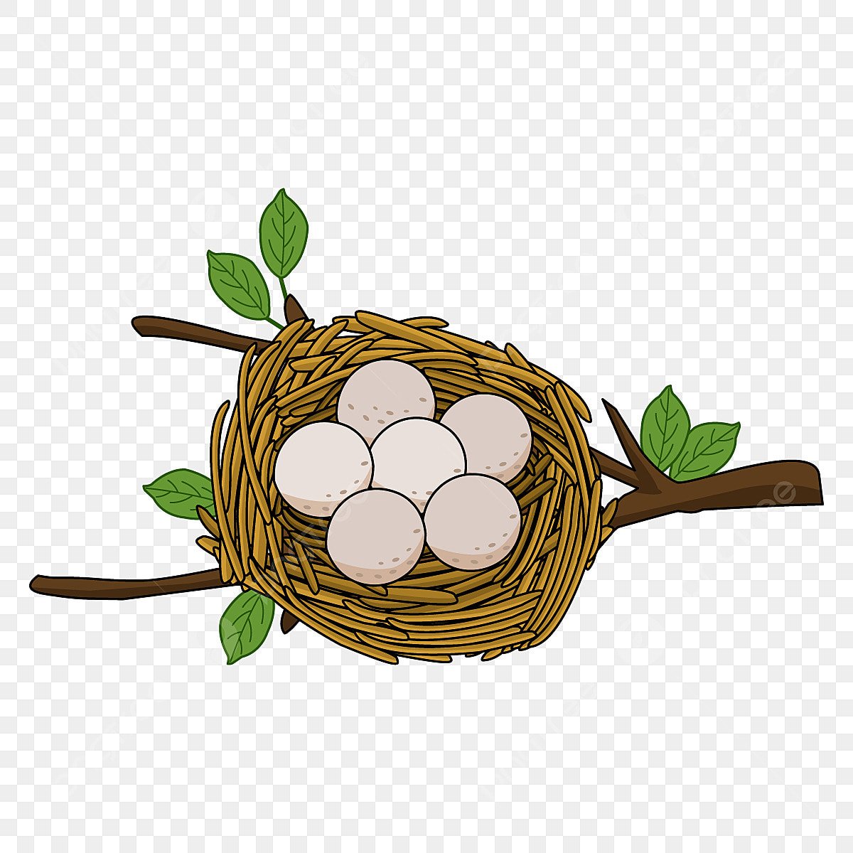 Гнездо с яйцами вектор