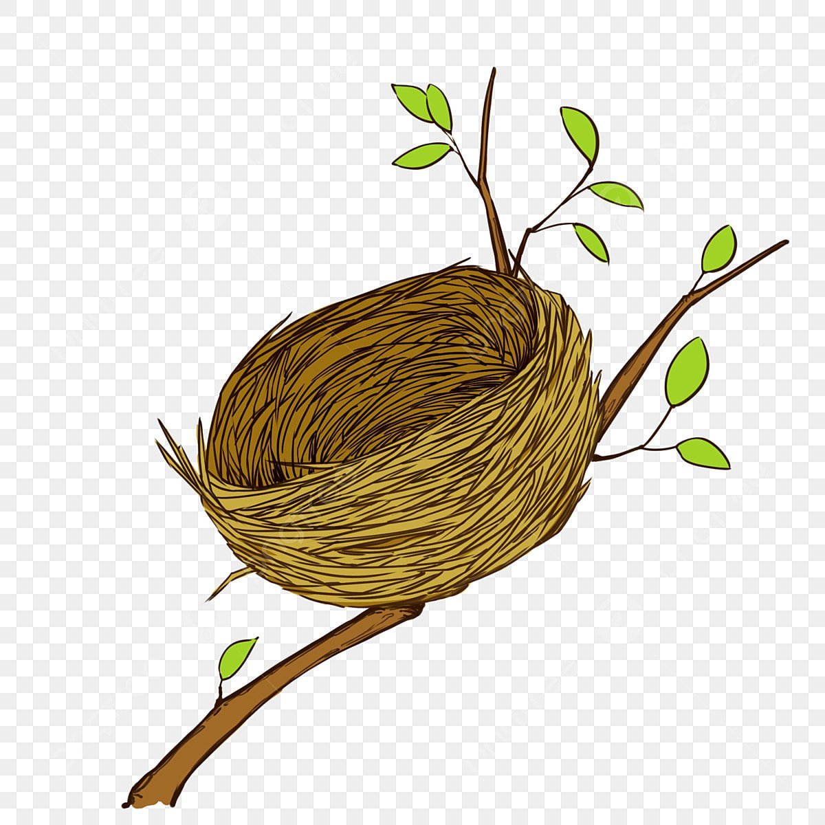 Птица в гнезде на прозрачном фоне для детей