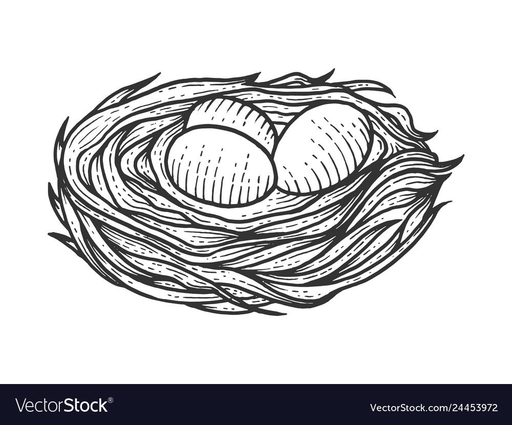 Раскраска гнездо с яйцами для детей