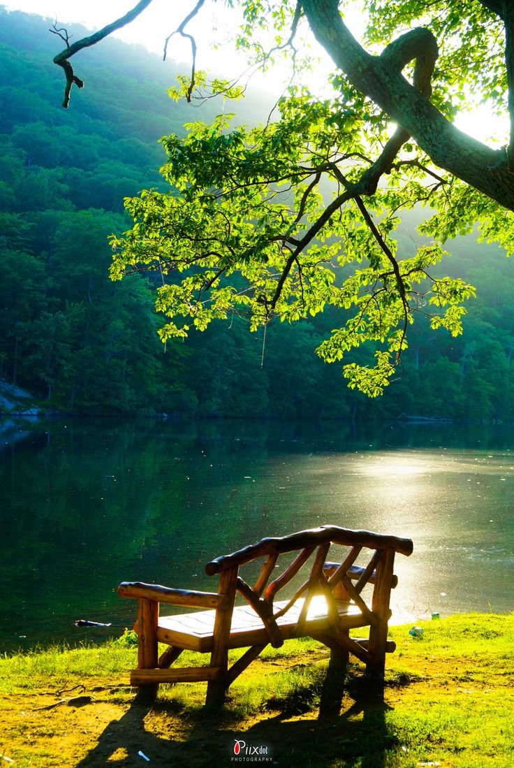 Спокойствие природа