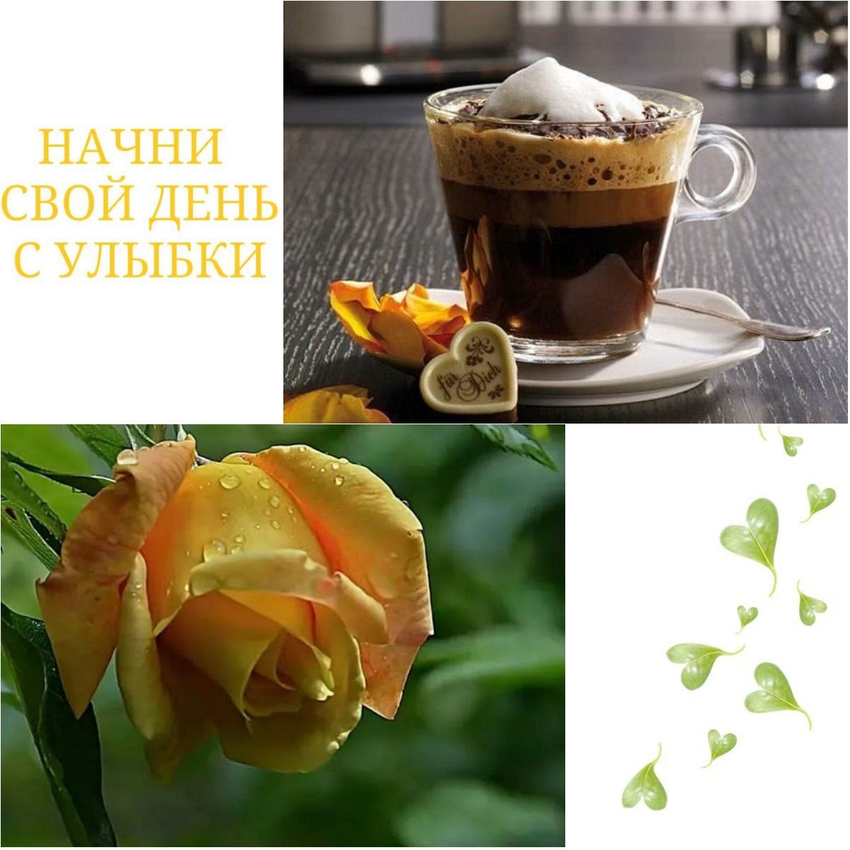 Продуктивного дня и хорошего настроения