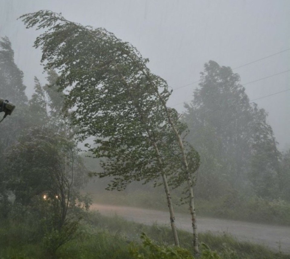 Сильный ветер