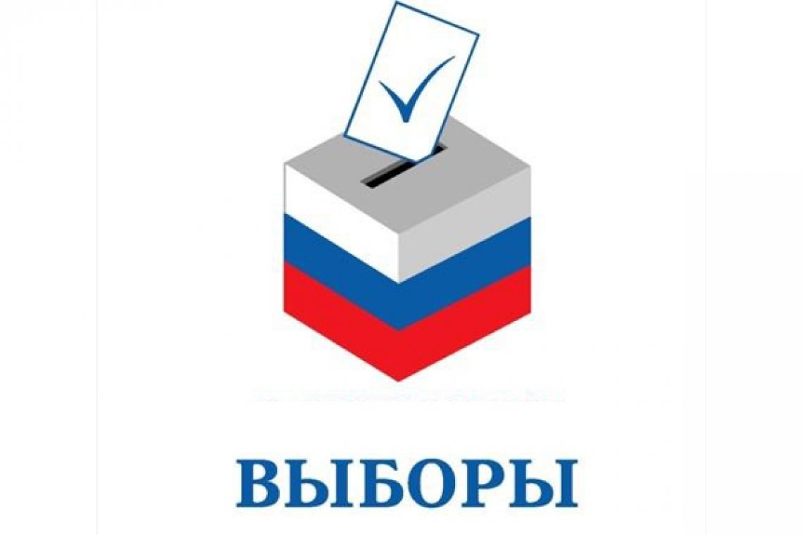 Политические выборы