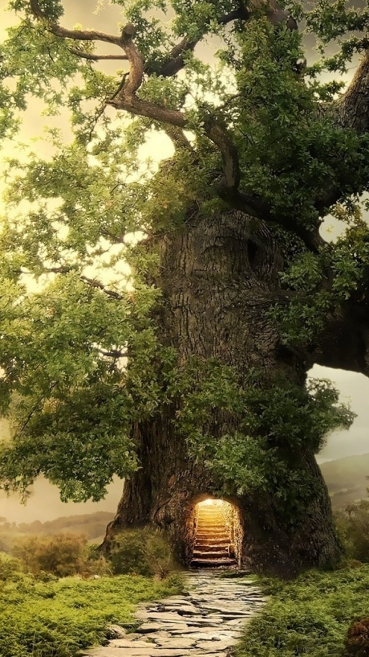 Красивое дерево