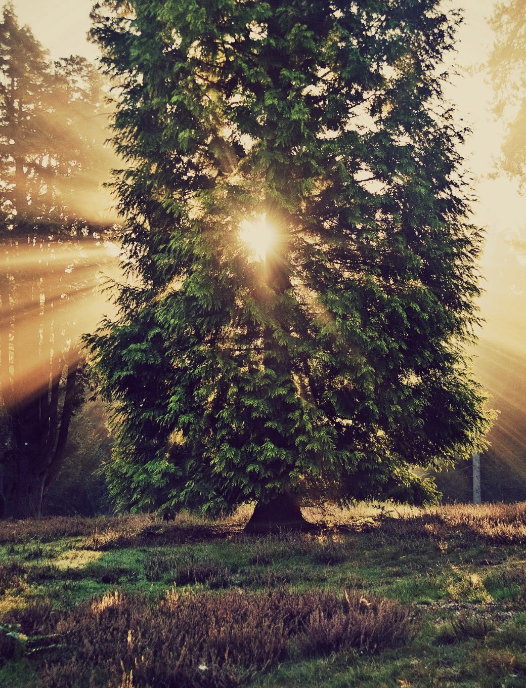 Телевизор Erisson 28lee16