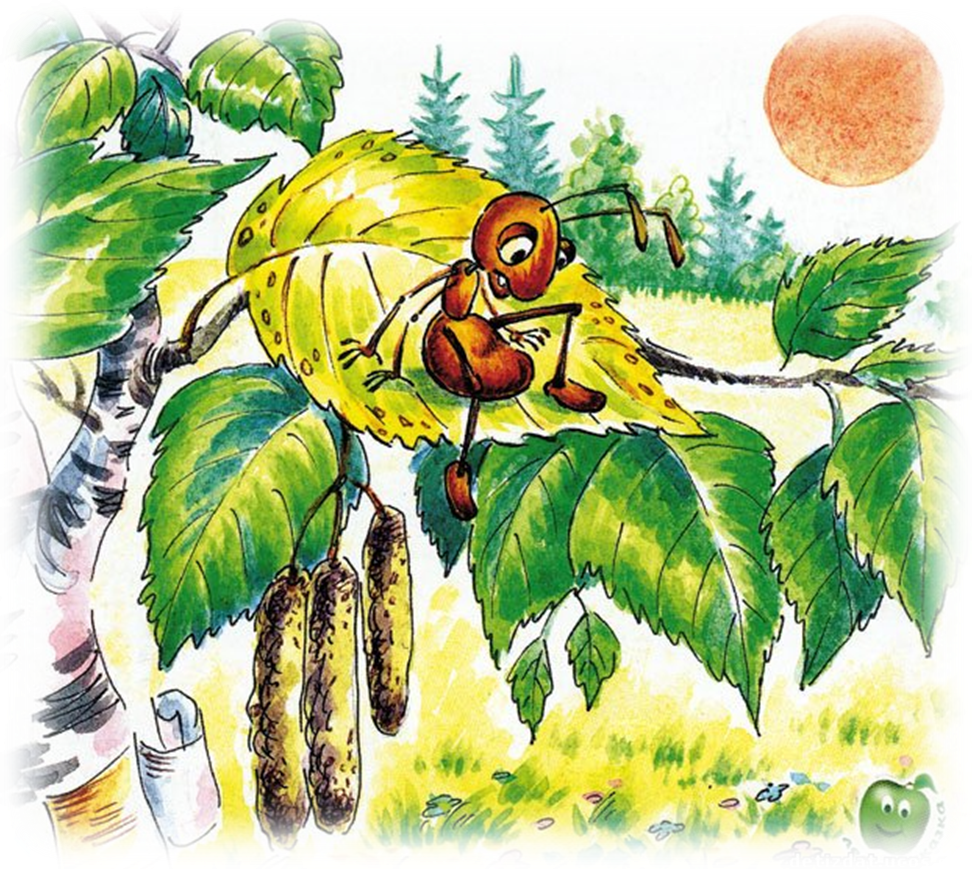 Книга природа