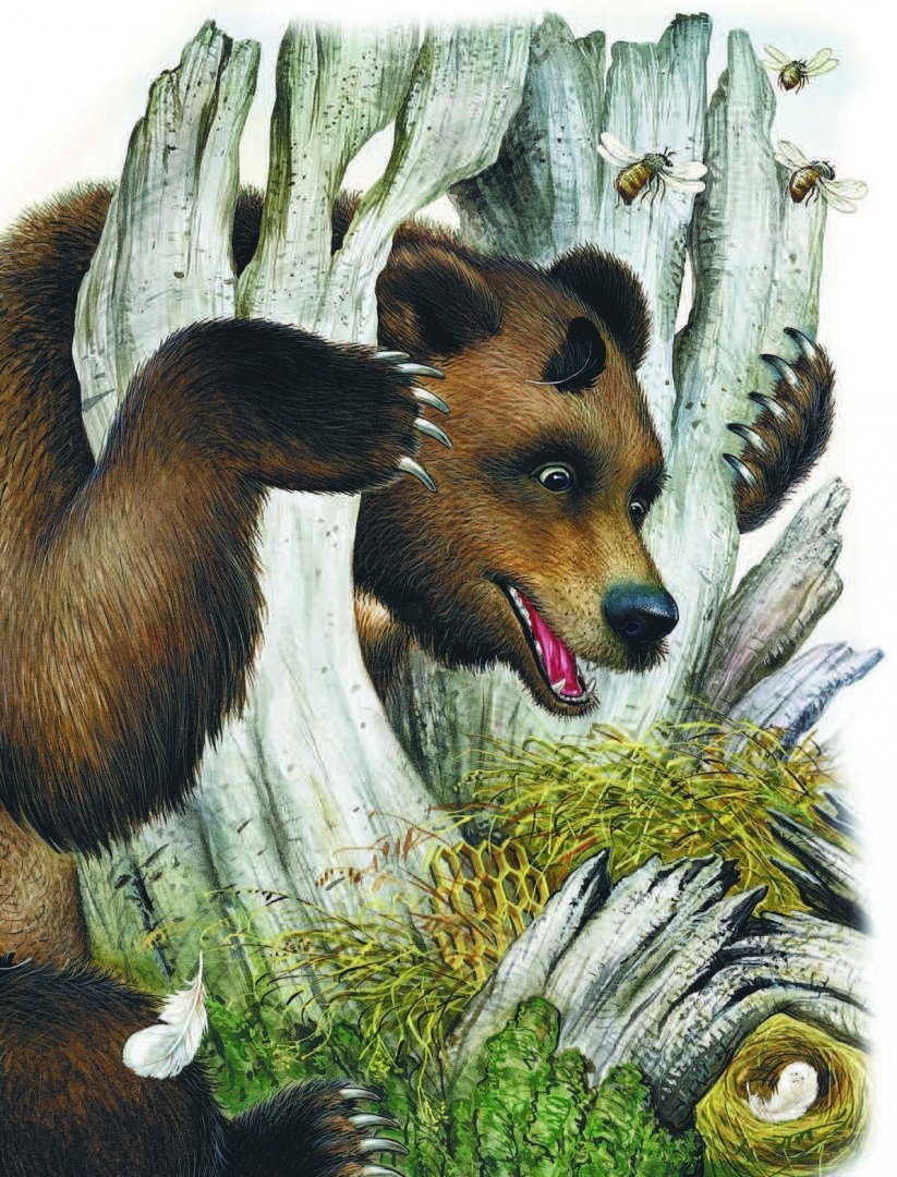 Бианки в. "красная горка"