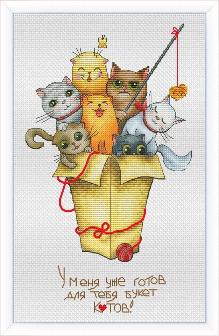 Букет котов