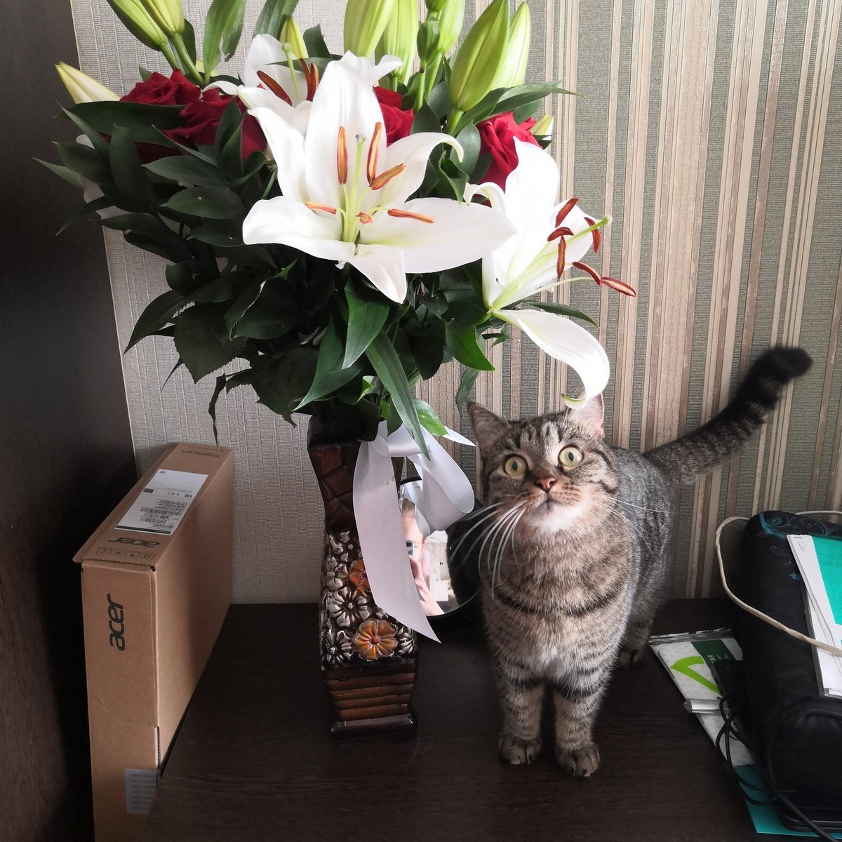 Кошка с букетом цветов