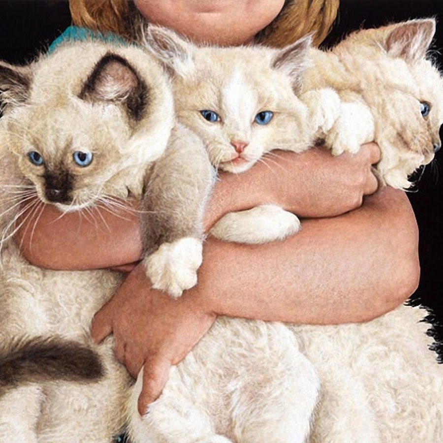 SUEELLEN Ross художник