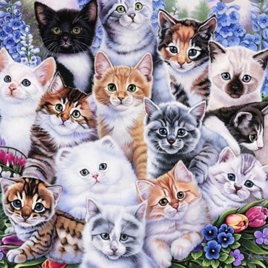 Котята коллаж