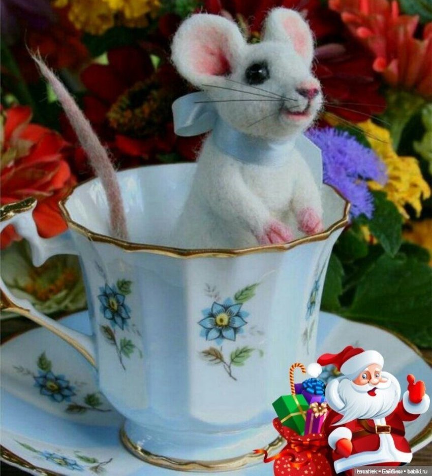 Мышка в сыре