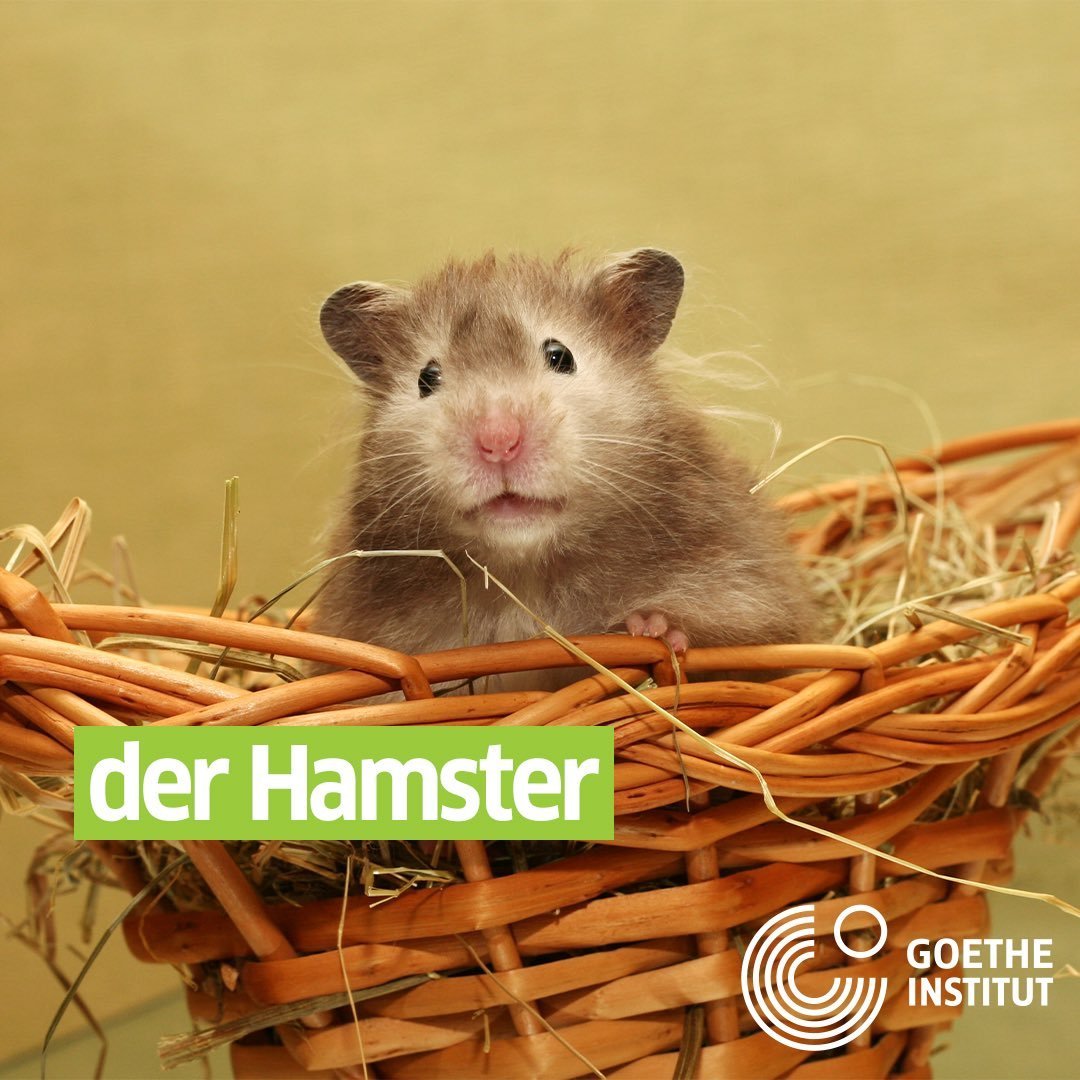 Лев Бартенев художник пушистики