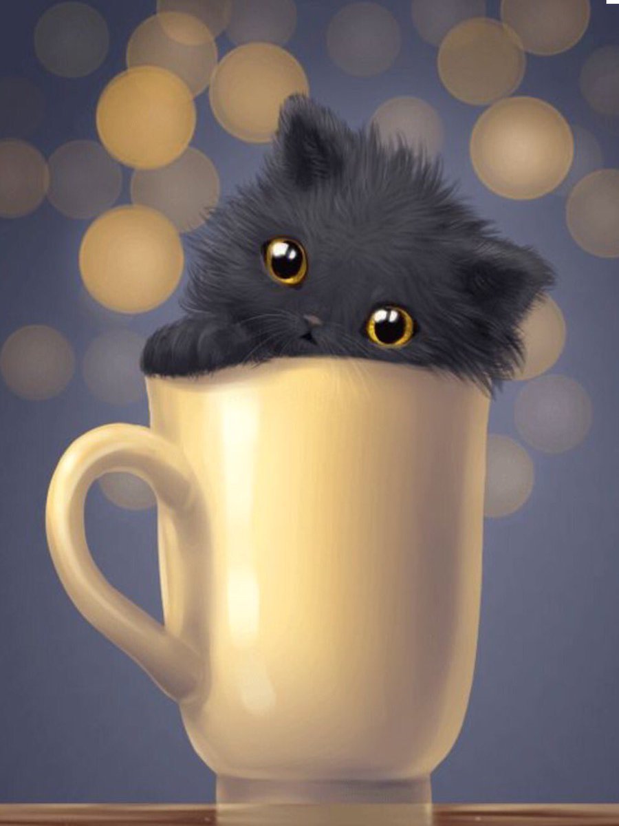 Кот в чашке