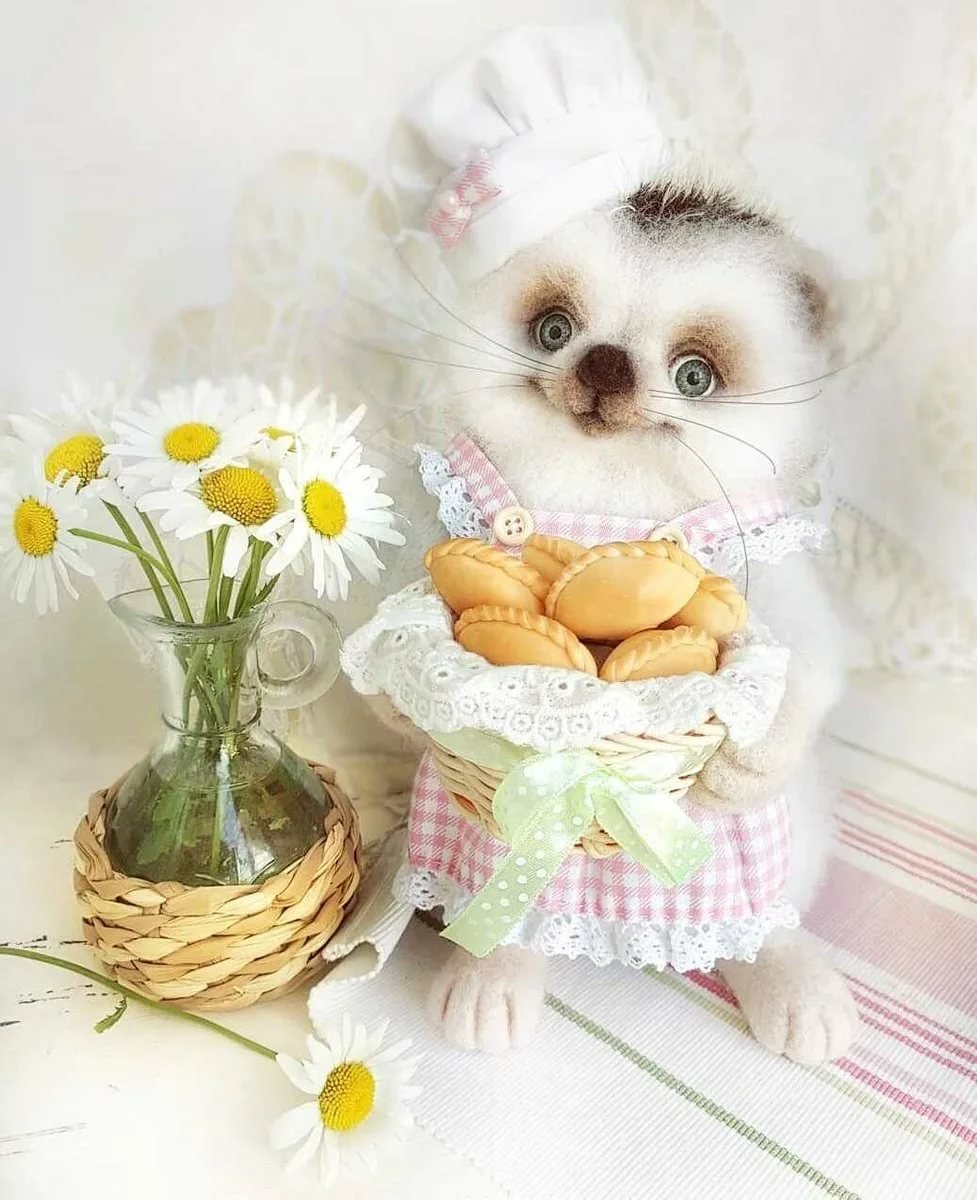 Белый котенок