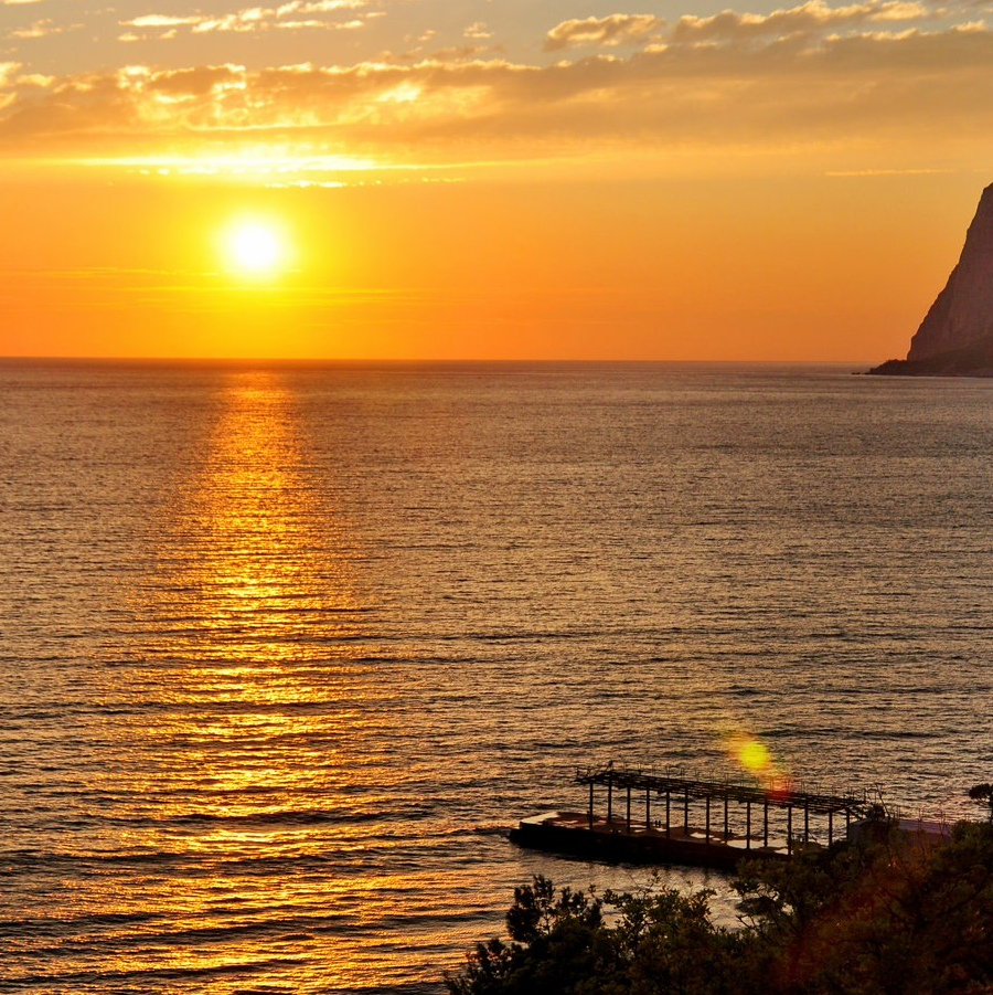 Цветы в горах