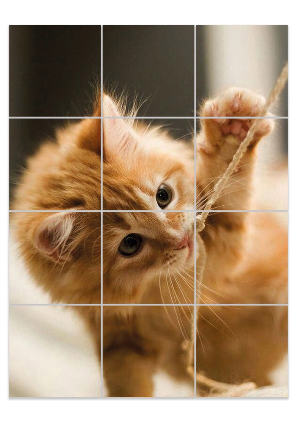 Красивый рыжий котенок