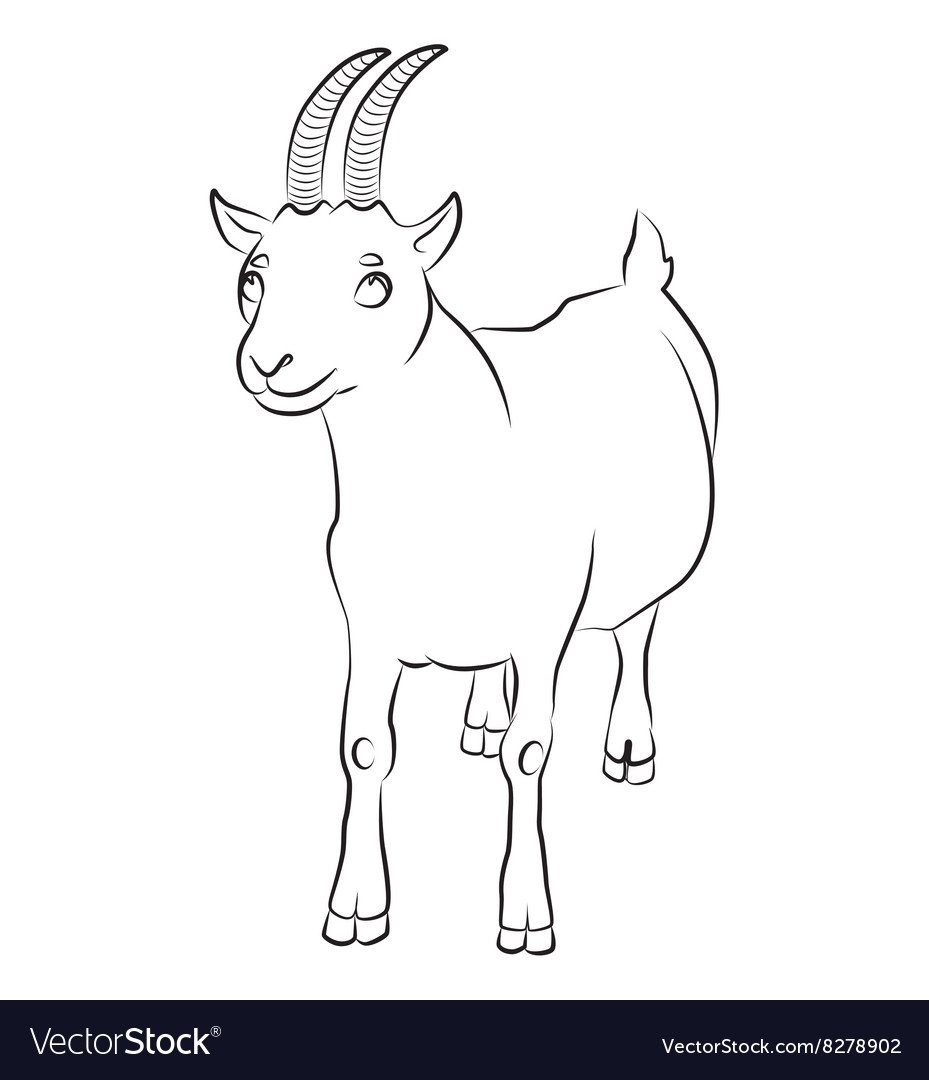 Коза черно белое изображение