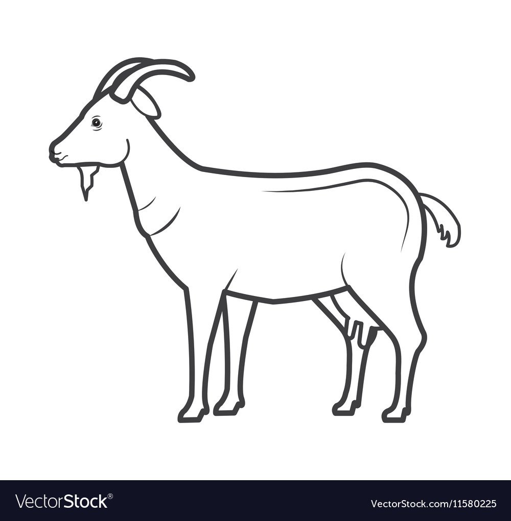 Коза контур