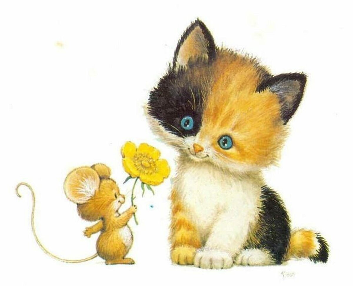 Кот на прозрачном фоне