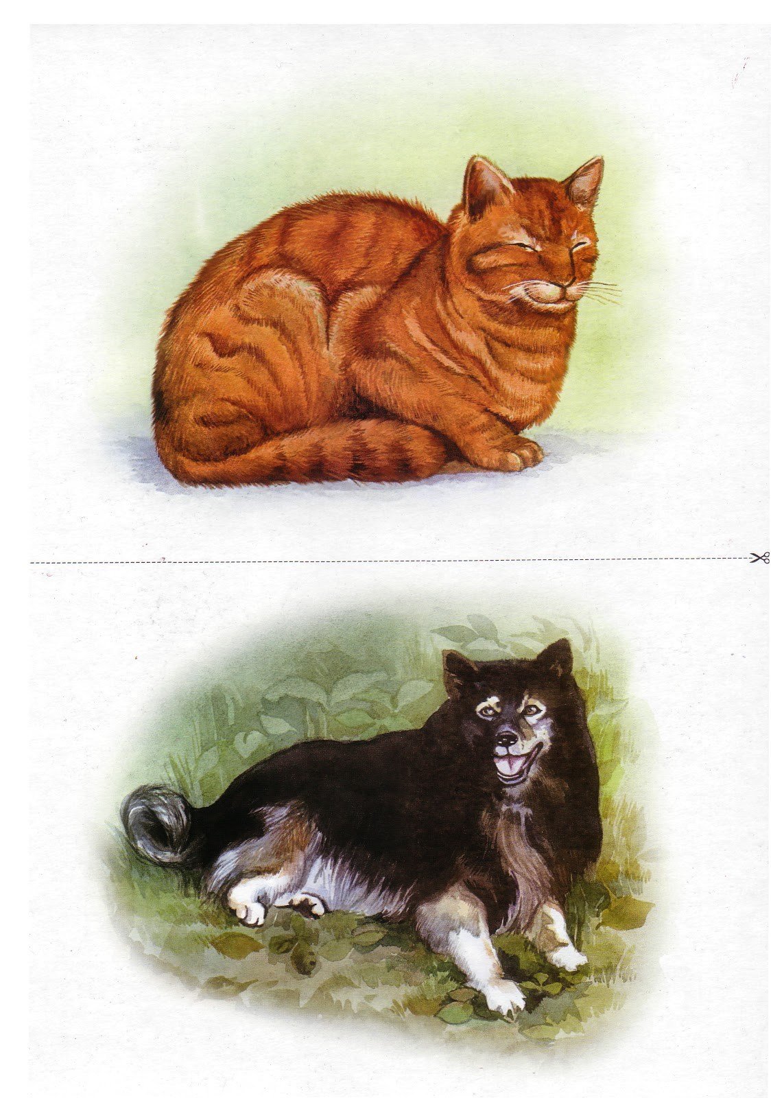 Кот коты логопед