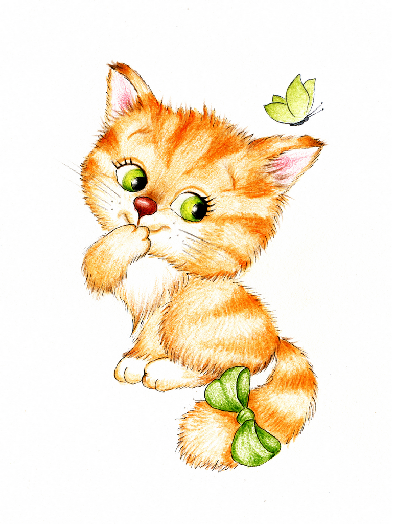 Кот на белом фоне мультяшный