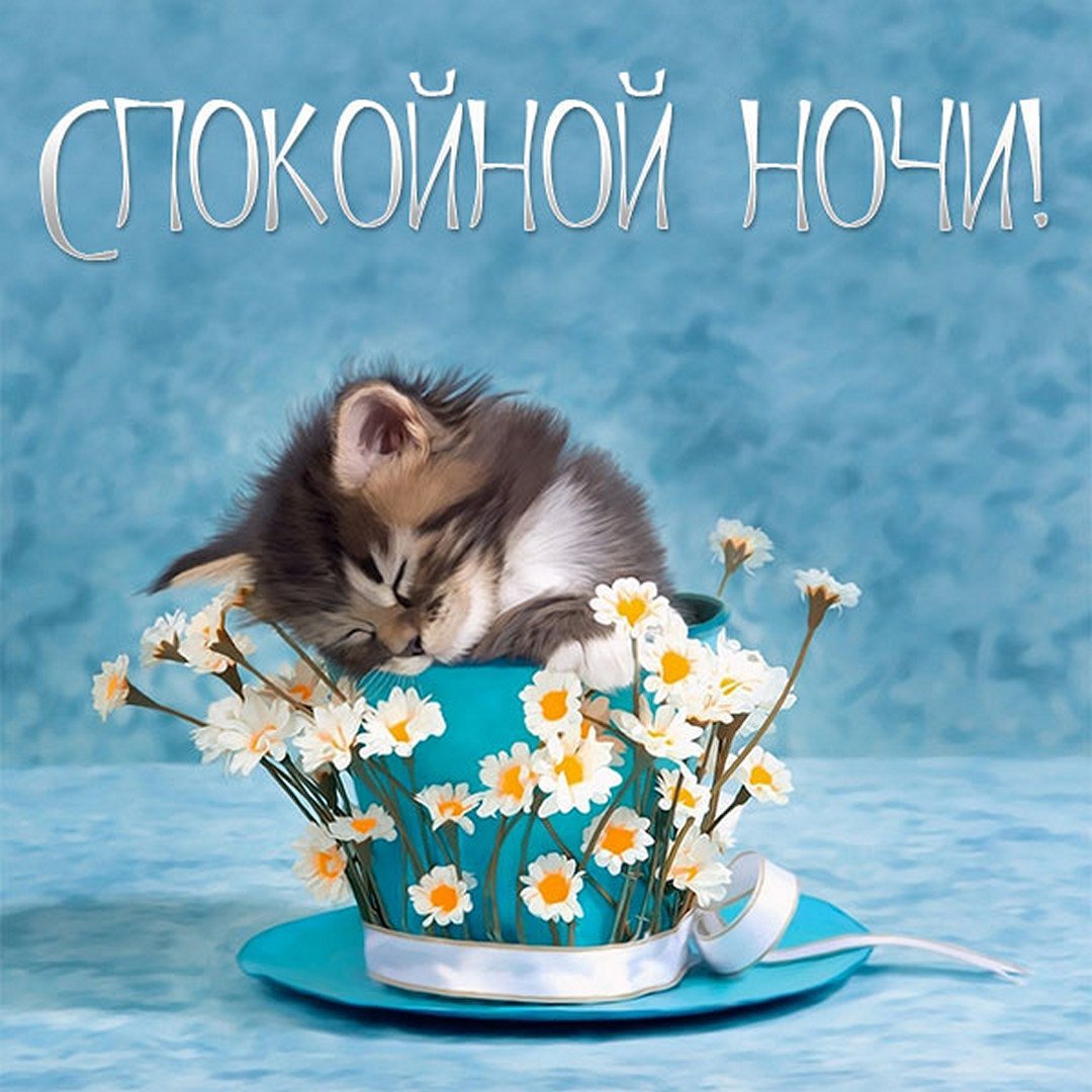 С днём рождения женщине