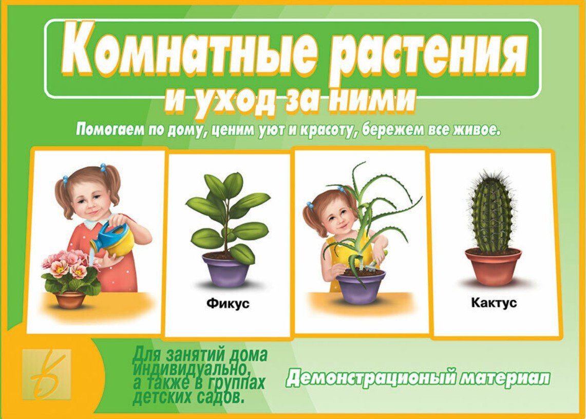Картотека комнатных растений