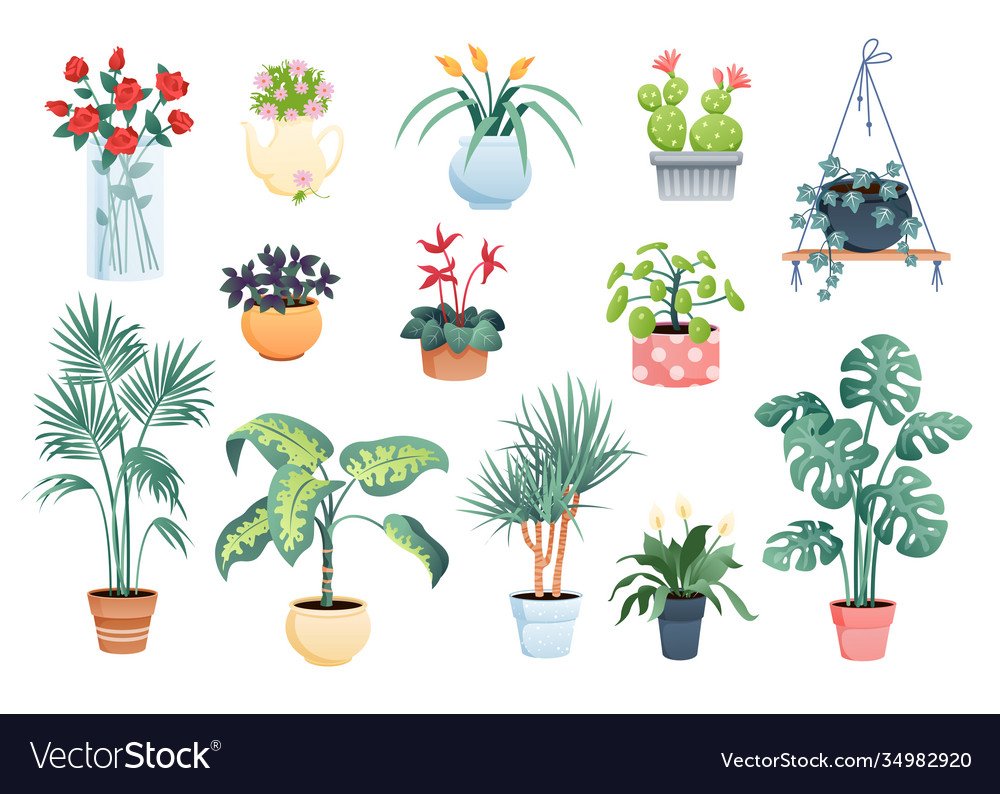 Растения для дошкольников