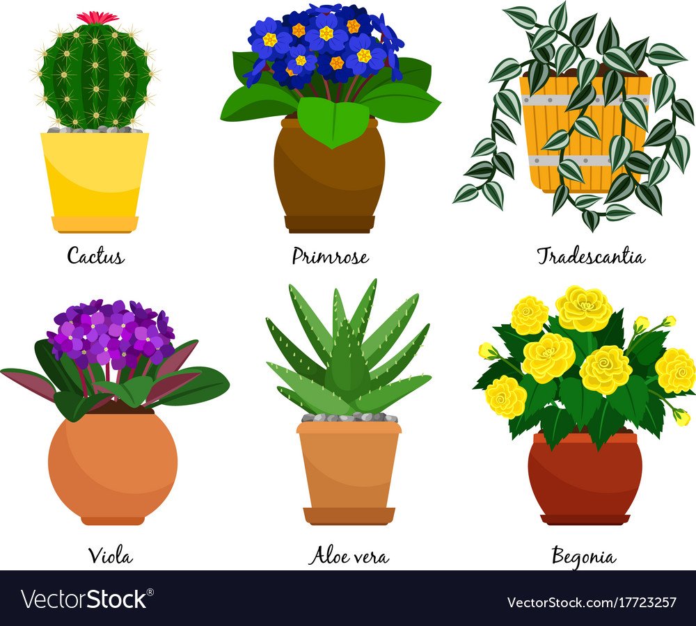 Растение в горшке вектор