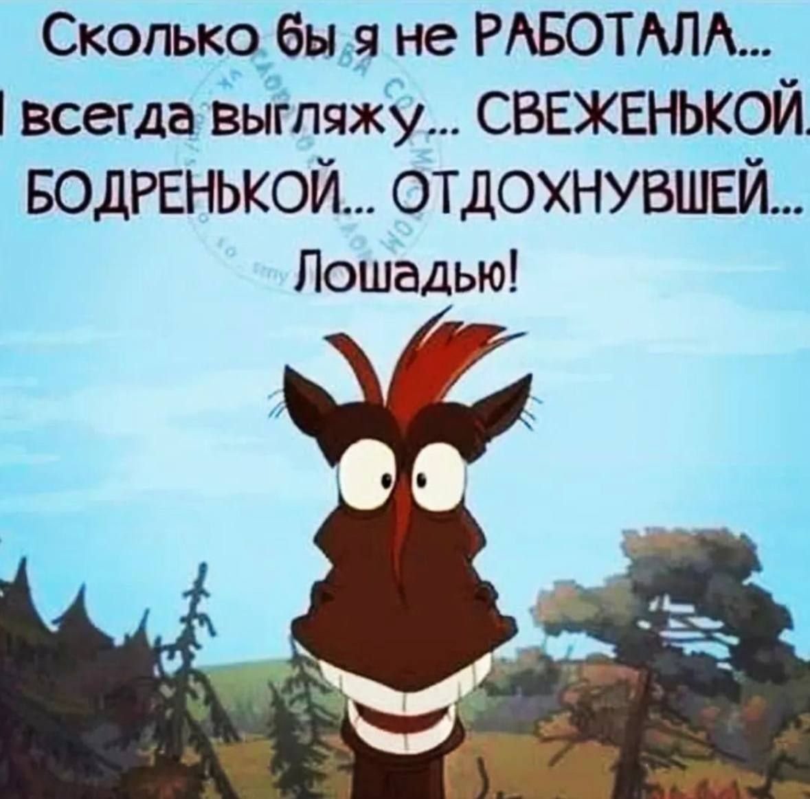 Работаю как лошадь