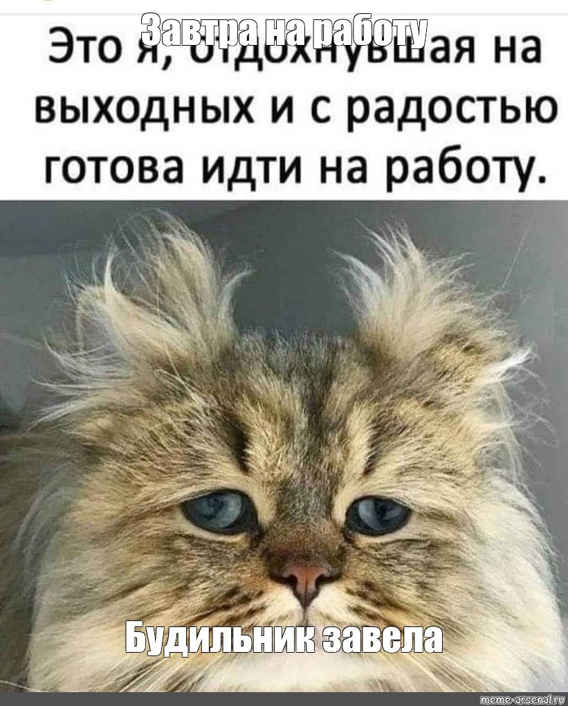 Шутки про понедельник