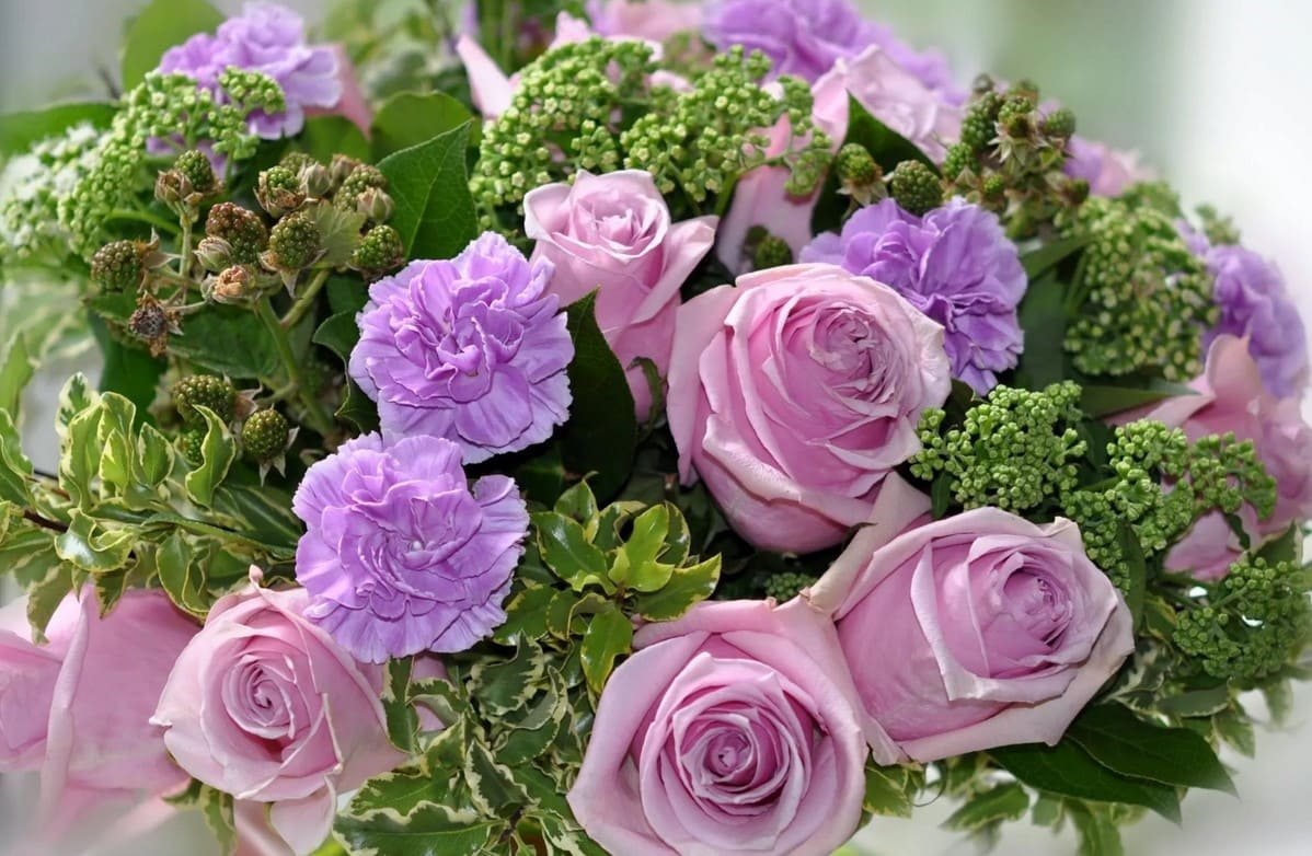 Красивые поздравительные цветы