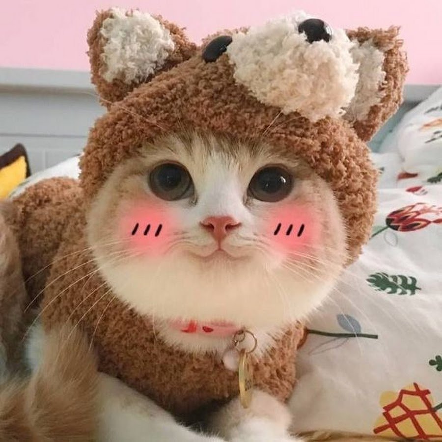 Мультяшные животные с едой