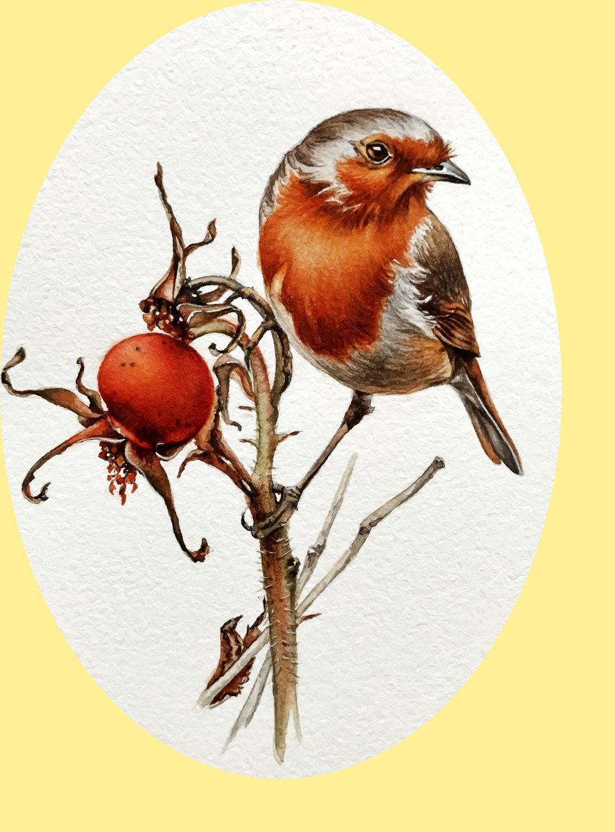 Selina Elena иллюстратор