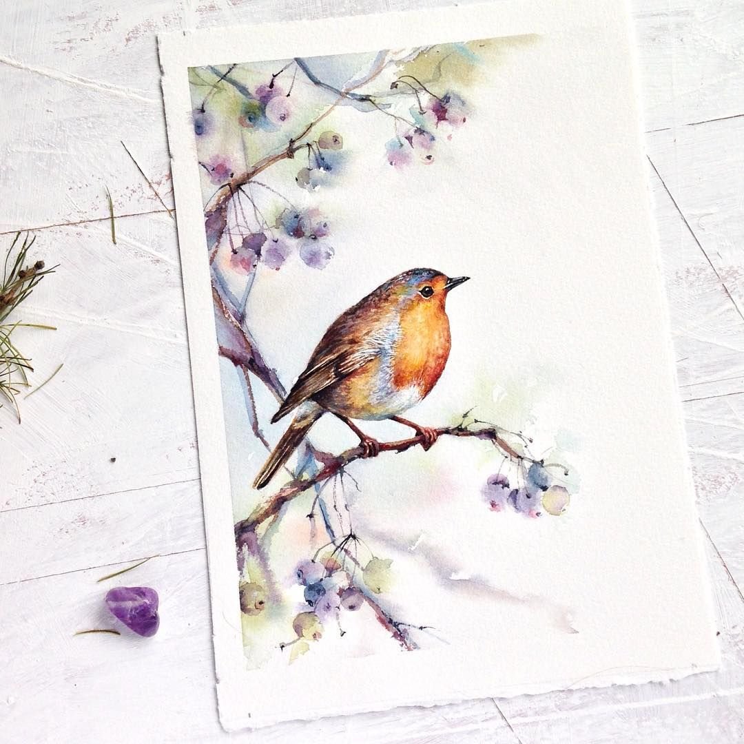 Красивые птицы