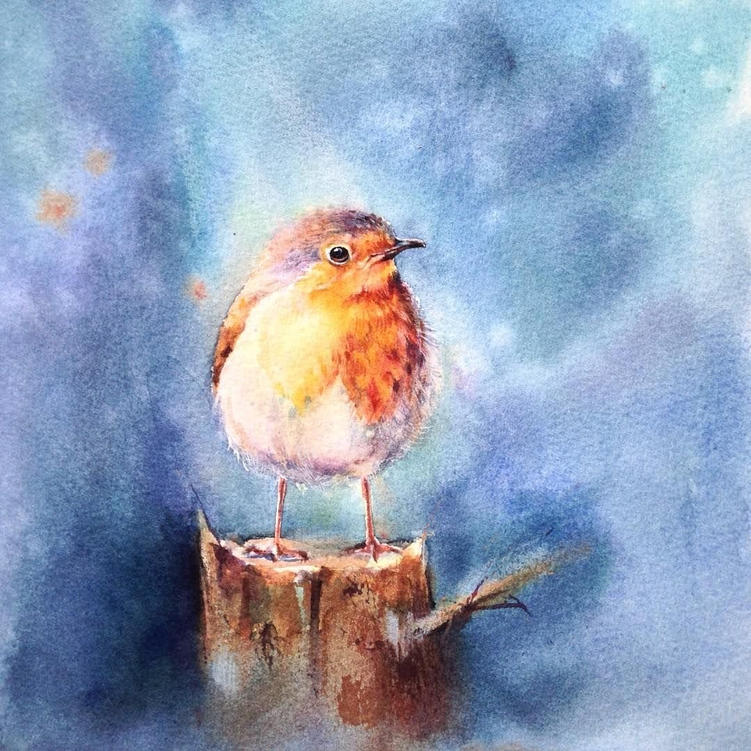 Европейская Малиновка