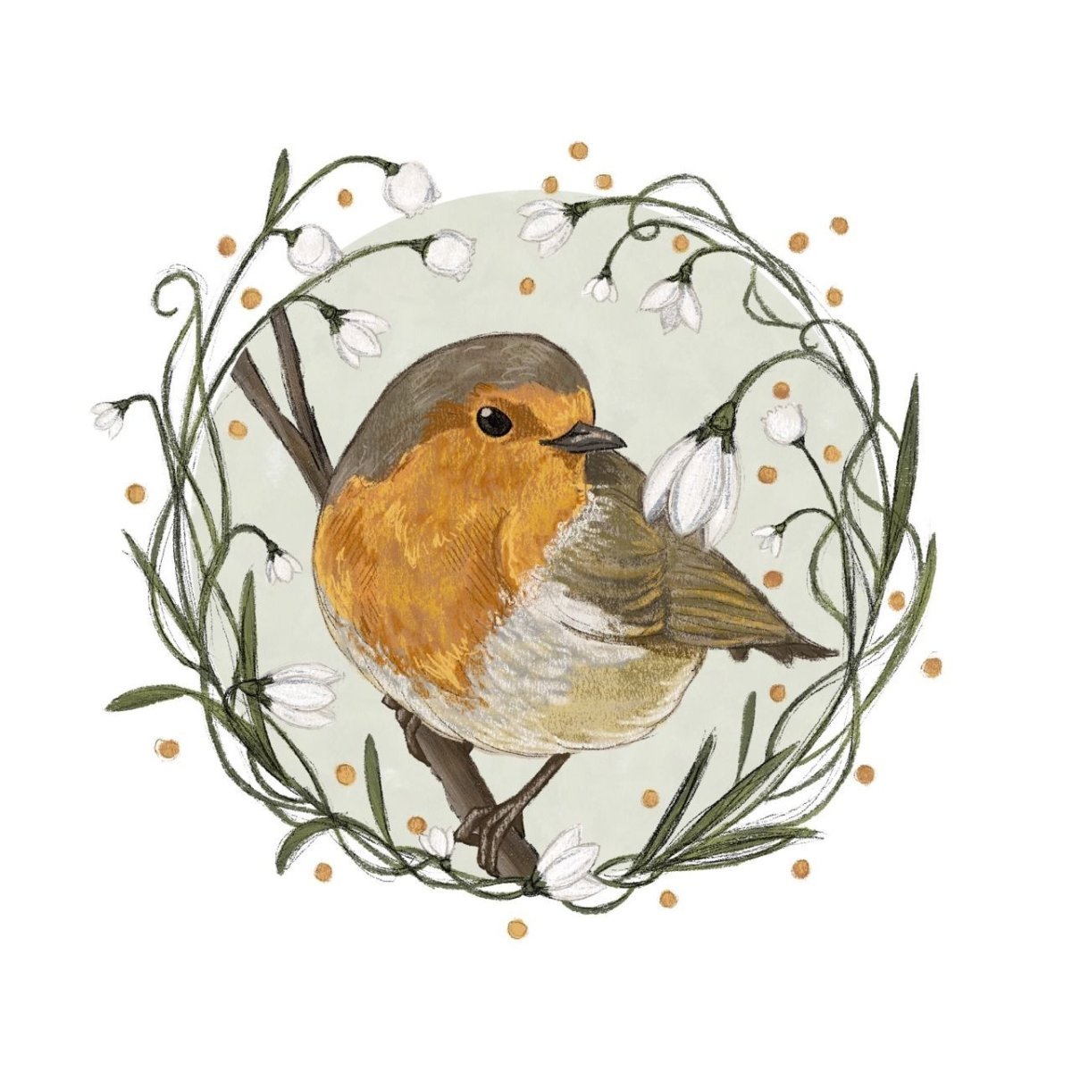 Малиновогпудая петройка