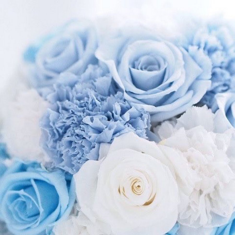 Пион древовидный синий сапфир