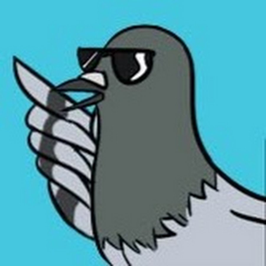 Голубь на аву