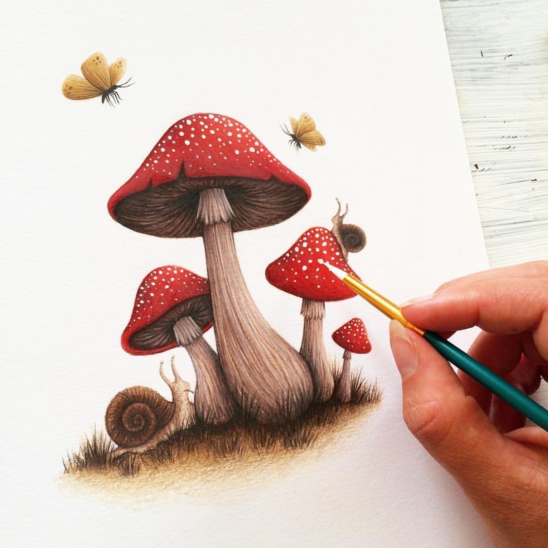 Мухомор цветными карандашами