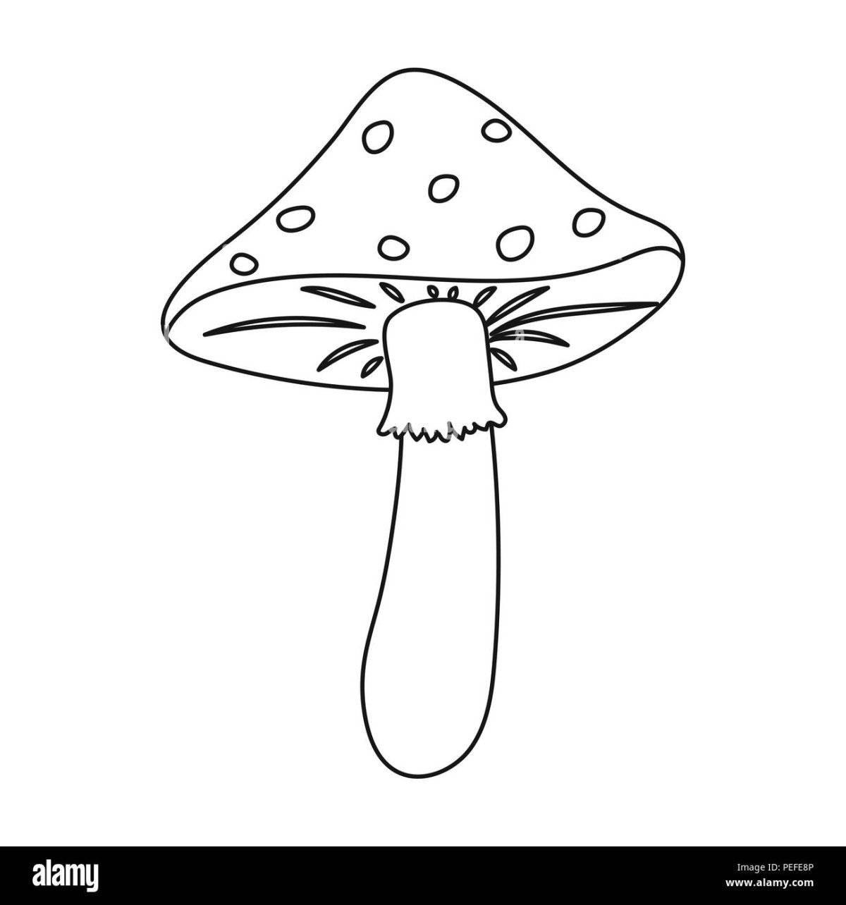 Грибы эскиз