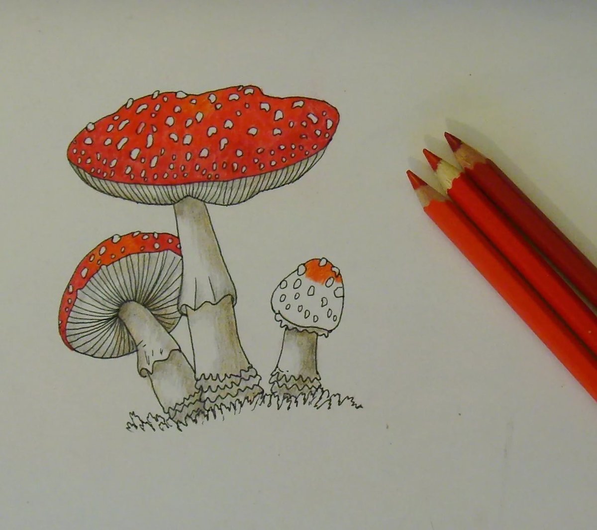 Мухомор карандашом