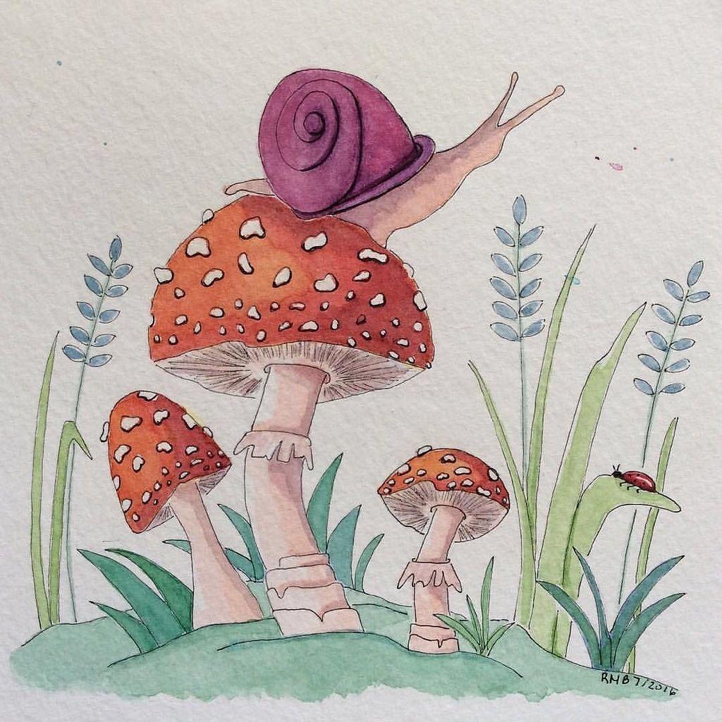 Мухомор рисунок
