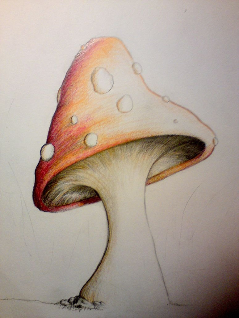 Мухомор цветными карандашами