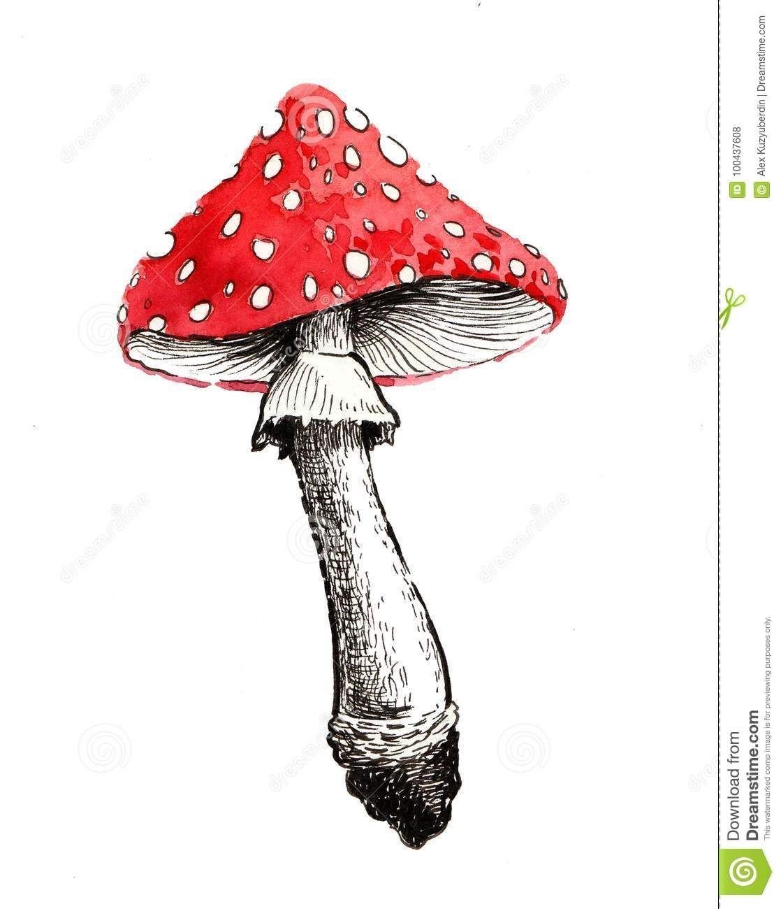 Мухомор поэтапное рисование